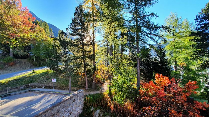 Pontresina Ferienwohnung 11